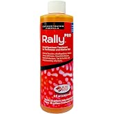 Rally Pro 8 oz. Round ( Pack of 2 )