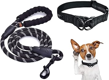 dog leads amazon uk