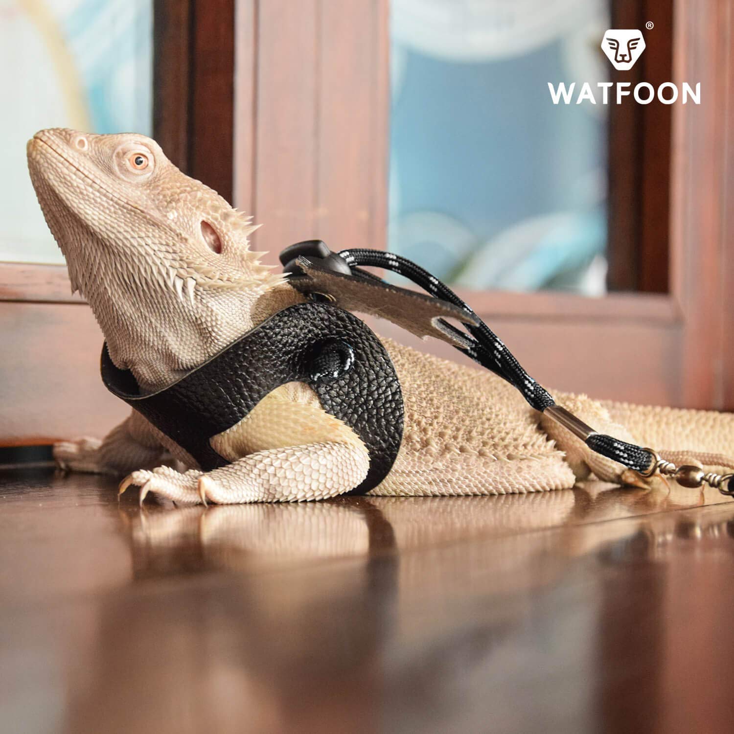 Leopard Gecko Leash 2025