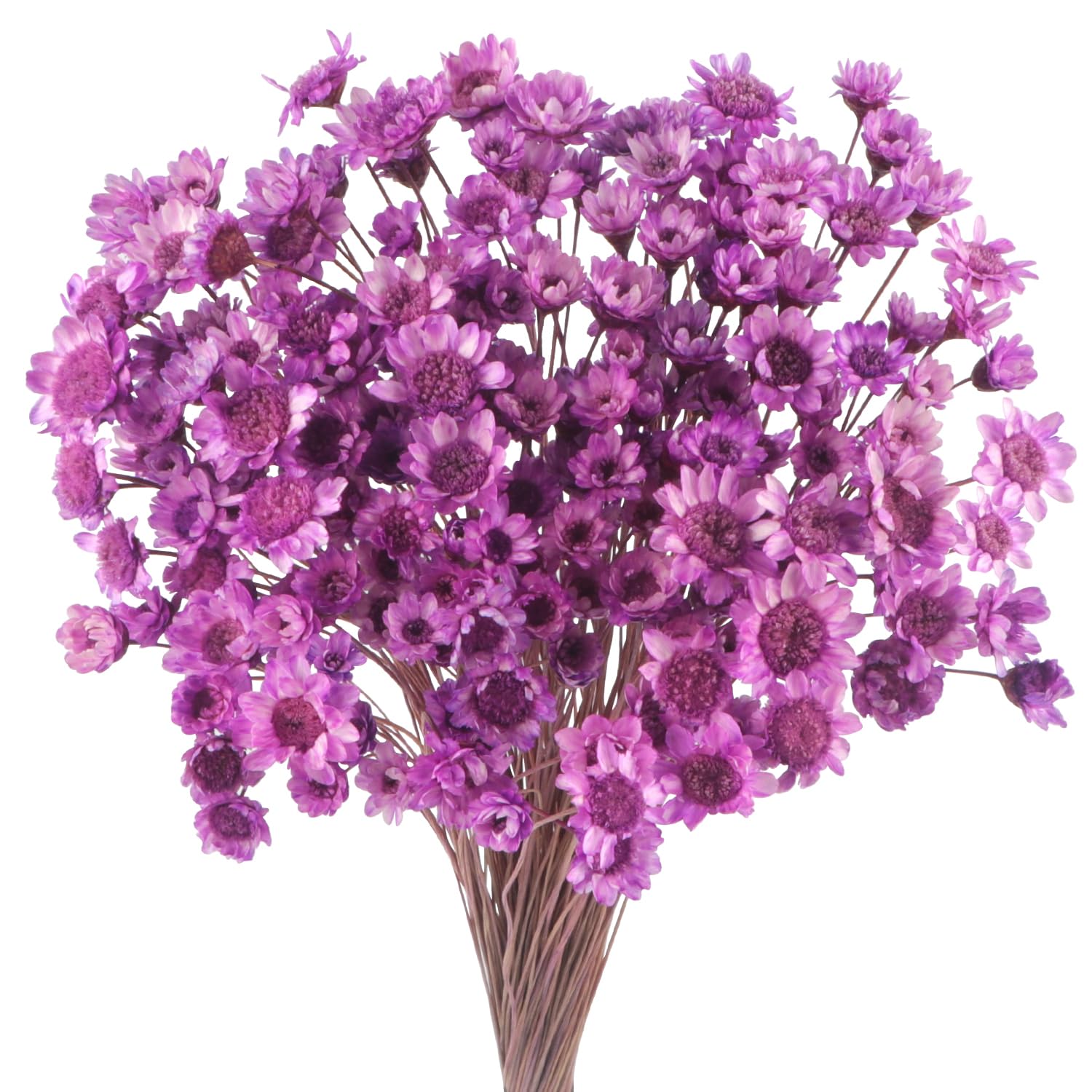 300 PCS Brazilian Daisy & Mini Daisy Dried Flowers - Purple, Baby's Breath, Chamomile Bouquet for Holiday Party Decoration, DIY Home Wedding & Dried Floral Arrangement