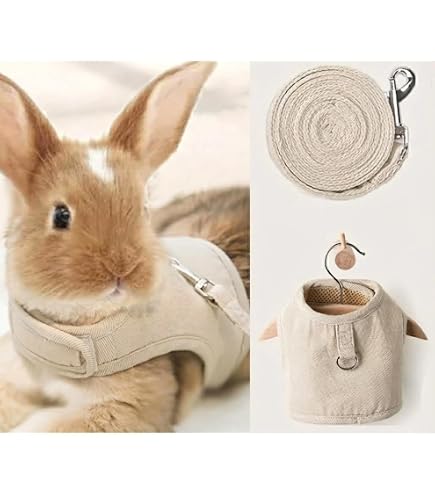 Rabbit Amazon.com : Copfeu Rabbit Harness and Leash - Adjustable Bunny