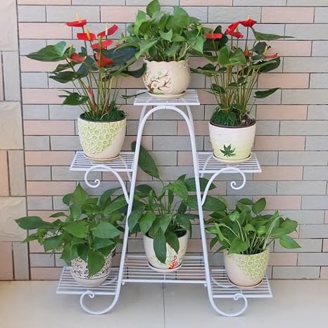 LFY Marco Decorativo (Tamaño : Gran): Amazon.es: Hogar