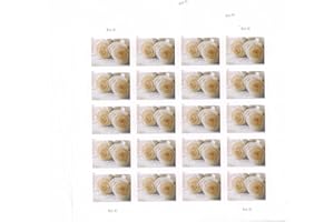 Wedding Roses Love Commemorative Forever Postage Book of 20 Self-Stick Stamps for USPS First Class Envelopes (20 Stamps)