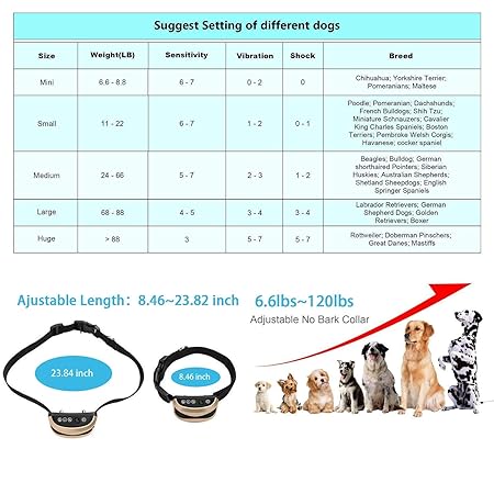 adjustable bark control dog collar