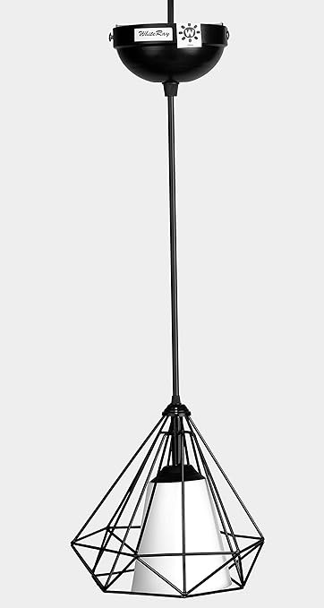 WhiteRay Black Diamond Decorative LED Hanging Light