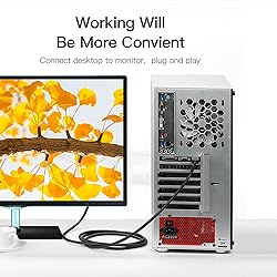 Rulykar HDMI to DVI Cable