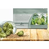 Outsidepride Hops Seeds - 100 Pcs. Perennial, Low Maintenance &amp; Pollinator Friendly, Flower Seeds for Planting Aromatic, Cone-Shaped Green Blooms, Great for Trellises, Fences, &amp; Summer Gardens
