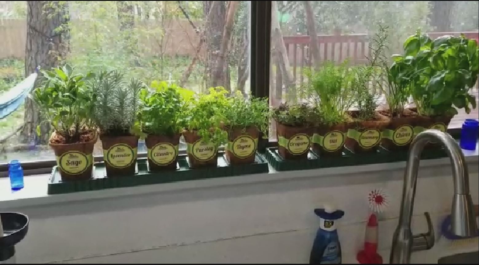 Windowsill Herb Garden Kit, Herb Planter Comes Complete with a 10