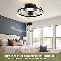 LUDOMIDE Ceiling Fans with Lights, 360° Rotating