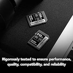 Lexar 128GB Professional SILVER PRO SD