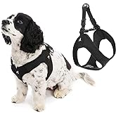 Gooby Escape Free Easy Fit Dog Harness, Step-in, Black, X-Small | Patented escape-free frame; Contracts if they back out; Step-in easy on/off; Machine washable; Light POM leash ring
