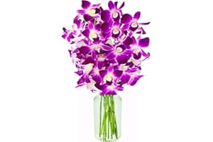 KaBloom Flowers - 10 Purple Orchid with vase - Gift for Birthday, Sympathy, Anniversary, Get Well, Thank You, Valentine, Mother’s Day Fresh Flowers