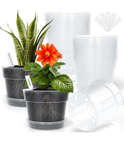 terrarium kits with plants Black Theme Moss and Tree Stump Terrarium Kit  NCYPgarden