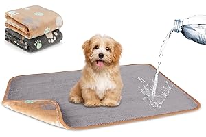 YUEPET Waterproof Dog Blankets, 2 Pack Washable Dog Blankets for Bed Couch Sofa Protector Fleece Flannel Puppy Blanket Soft Plush Reversible Throw Blanket for Small Dogs Puppy Cat 23"×16"(Grey+Coffee)