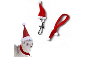 HOMEDY CRAFTS Ferret Hat and Adjustable Scarf Set, Small Christmas Hats for Pets Cute Collar for Ferrets Chinchilla Squirrel Bunny Rabbit Kitten, Guinea Pig Outfit, Ferret Accessories Costume (Christmas)