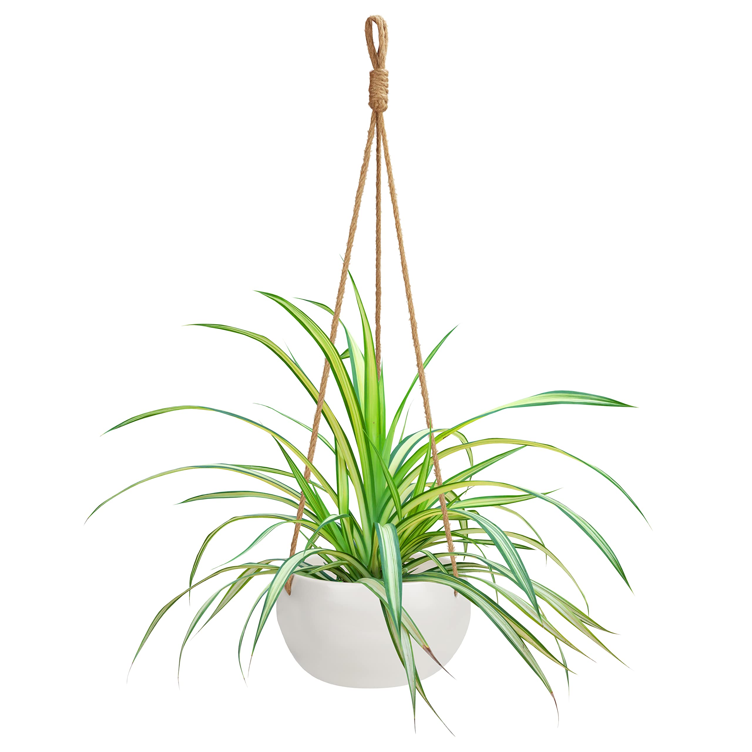 BELLE VOUS White Ceramic Indoor/Outdoor Hanging Planter - 69cm / 27.16 Inches - Macrame Basket Flower Holder Pot - Rope with Hanging Loop - for Decorative use in Gardens & Homes