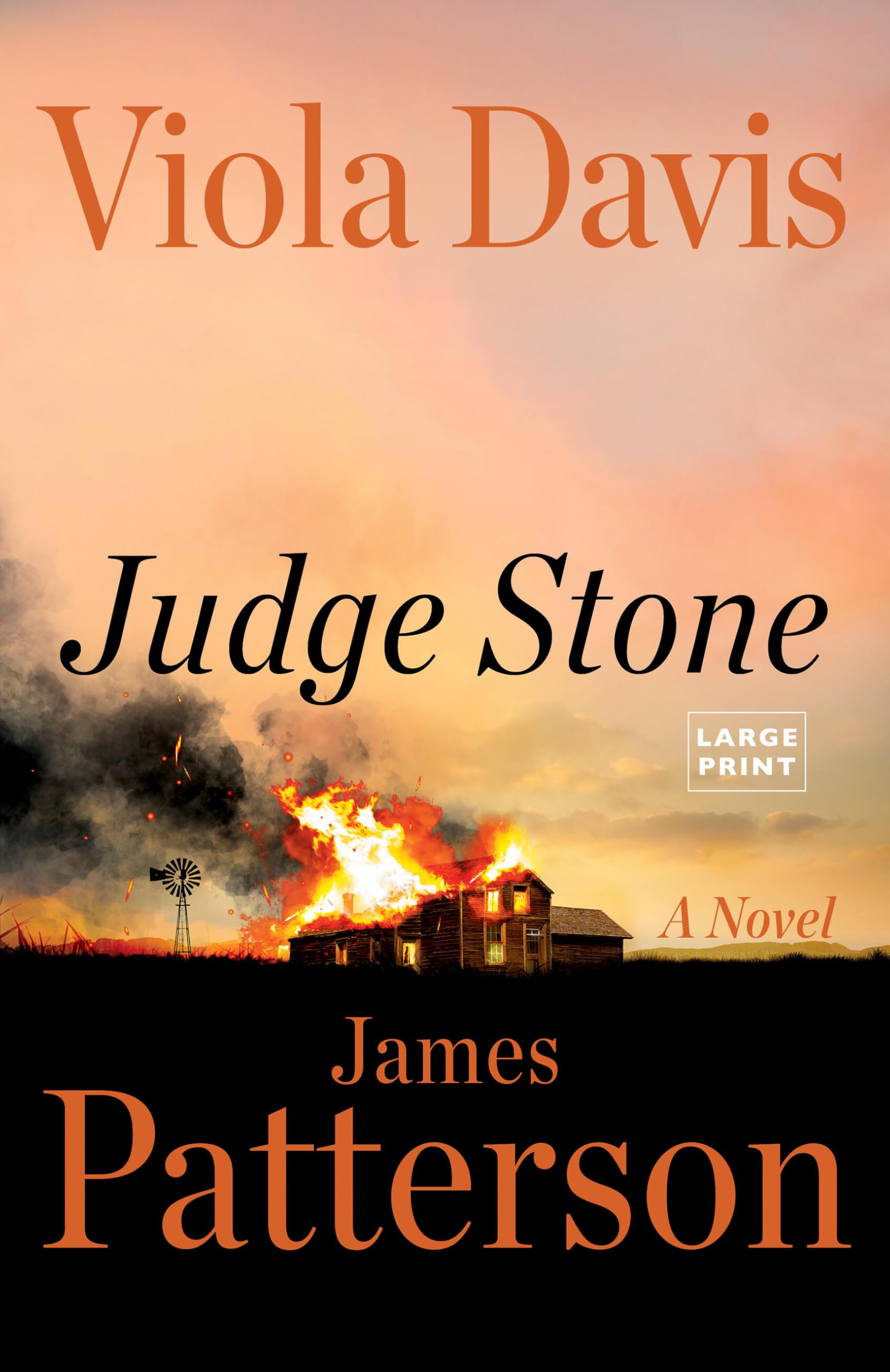 Judge Stone: A Novel Image