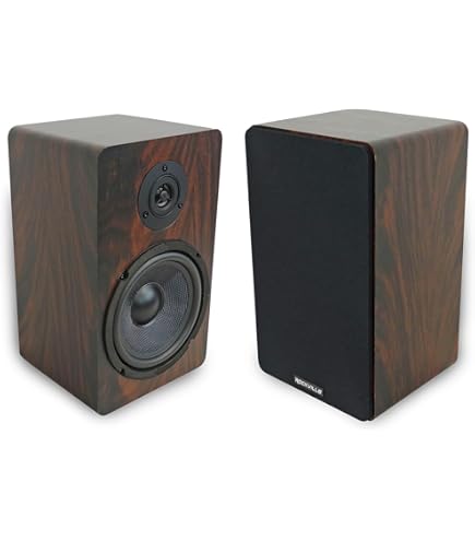 Amazon.com: Rockville Pair RockShelf 58C V2 360W 5.25