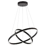 WELAKI Modern Led Chandelier, 2 Rings Contemporary