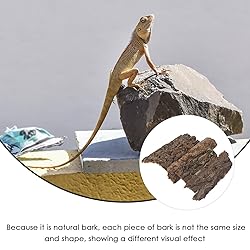 Kisangel 4Pcs Terrarium Cork bark Reptile Tree bark