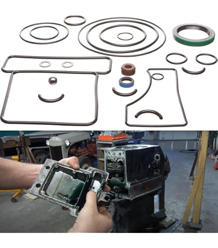 Amazon.com: REPLACEMENTKITS.COM Brand Outdrive Seal Fits