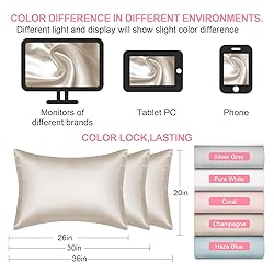 Mulberry Silk Pillow Cases Standard Size with
