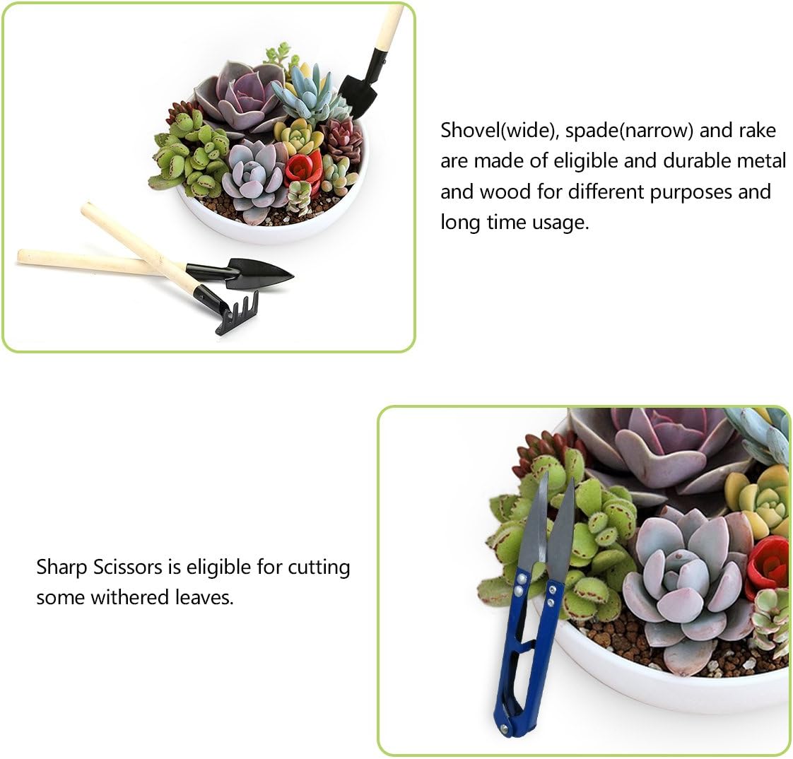 14Pcs Mini herramientas de mano de jardinería mini rastrillo ...