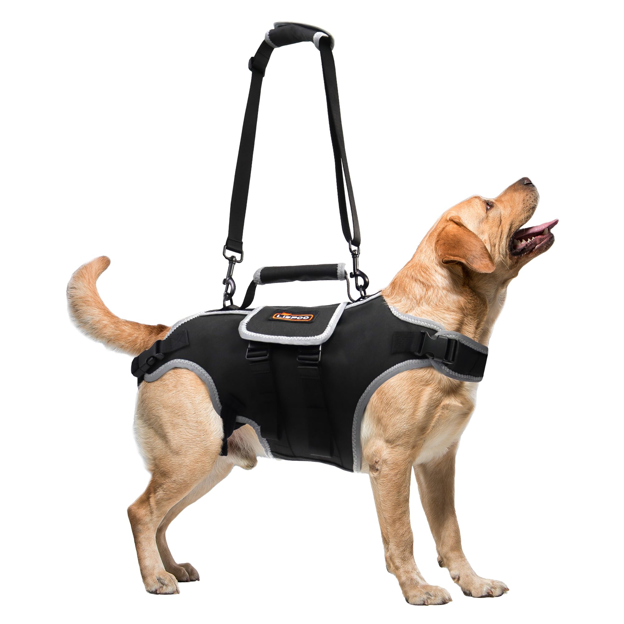 Dog body harness