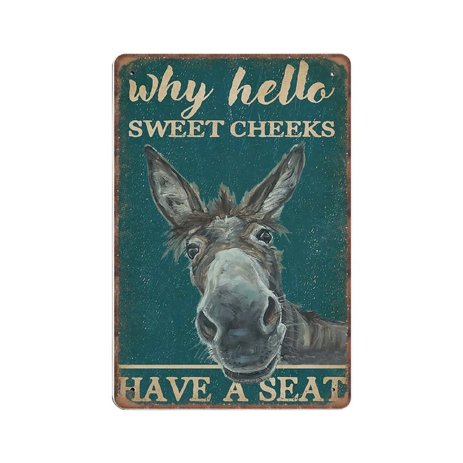 DAIERCY Retro Teal Why Hello Sweet Cheeks Donkey Tin Signs, Love Donkey Sign for Home, Funny Vintage Metal Sign Plaqu Poster Wall Art Kitchen Garden Bathroom Decor, 140x200 mm