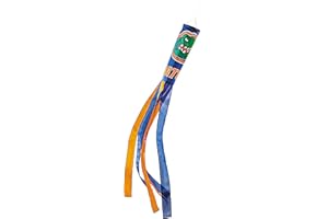 BSI PRODUCTS, INC. Florida Gators Windsock | UF Football, Basketball, and Baseball Pride | Heavy Duty and Durable for Outdoors as Hanging Yard Decorations | Great Gift Idea for Fans