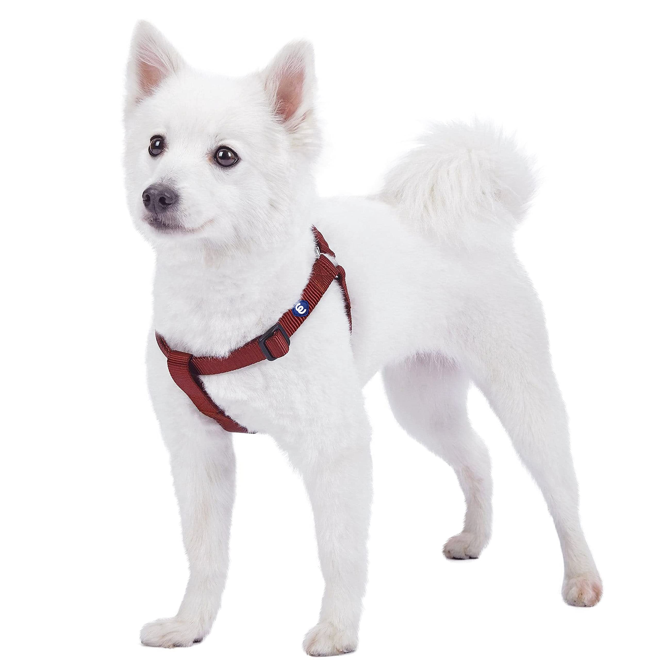 Blueberry Pet Harness. Chest circumference: 51-66 cm, Classic, Solid, Fired Brick, Adjustable Nylon, Dog Harness, Matching Collar and Lead Sold Separately.