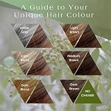Its Pure Organic Herbal Hair Dye Natural Brown 110g view 2