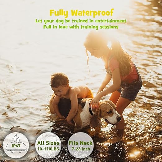 wolfwill training collar