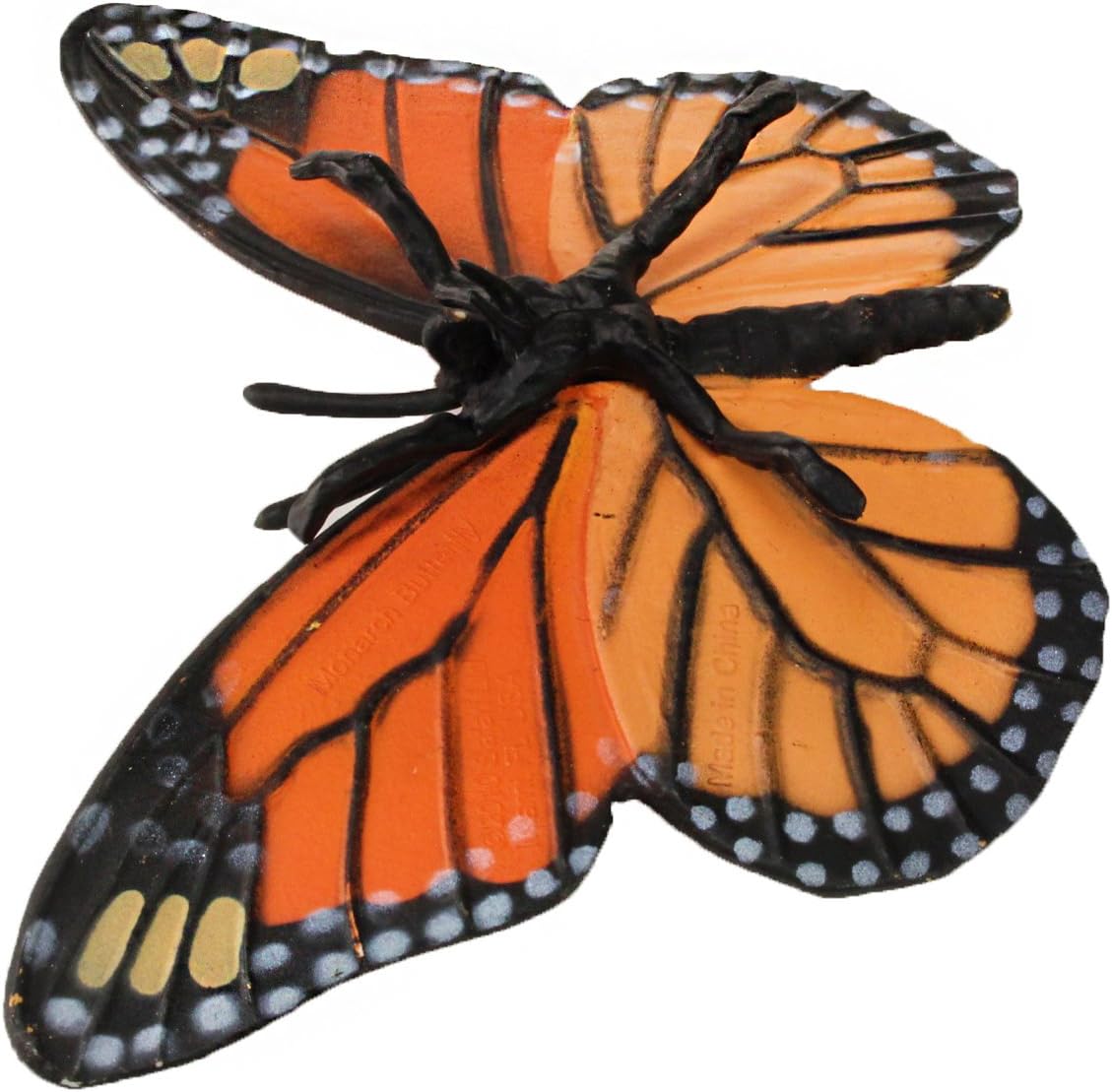 safari ltd life cycle of a monarch butterfly