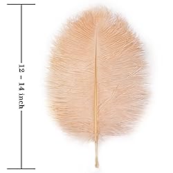Soarer Champagne Ostrich Feathers for Vase - 15 pcs
