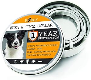 Citrucel w/SmartFiber Methylcellulose Fiber Therapy Caplets (240 ct.)