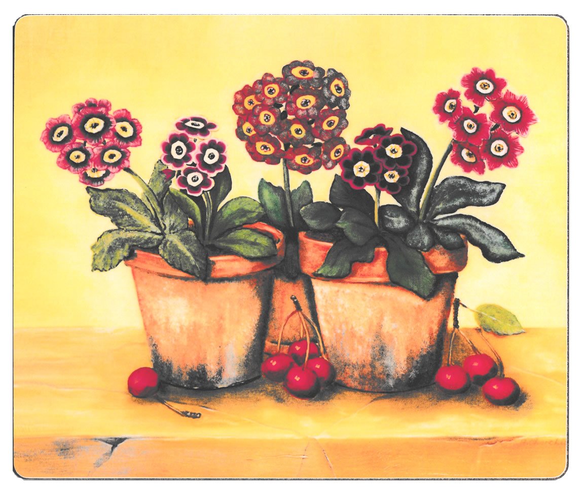 Lady Clare Melamine Tablemats Auriculas