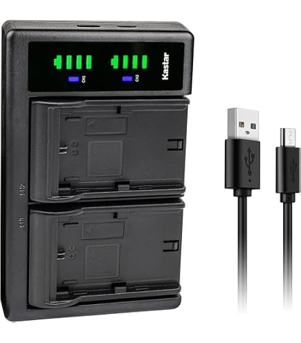 Amazon.com : Kastar LPEL Fully Decoded Battery Replacement for