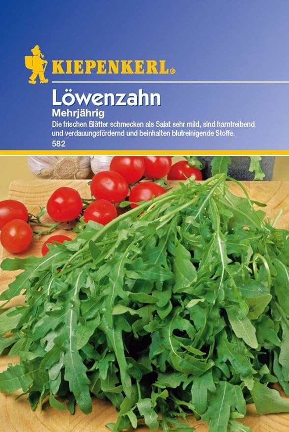Löwenzahn Ein- Mehrjährig