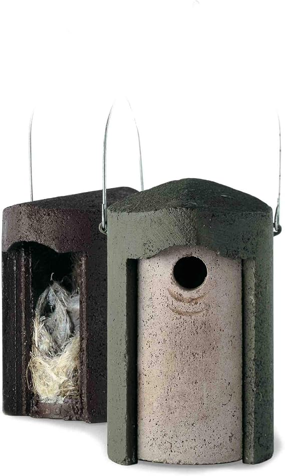 Caja nido Schwegler para páridos 32mm: Amazon.es: Jardín