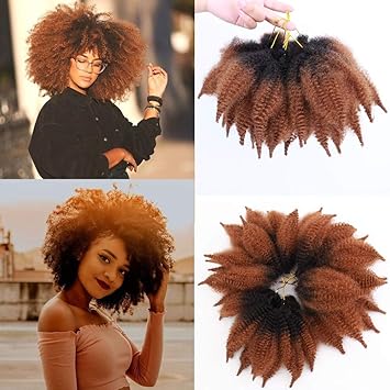 Amazon Com 3packs Marley Braiding Hair For Twists 8inch Afro