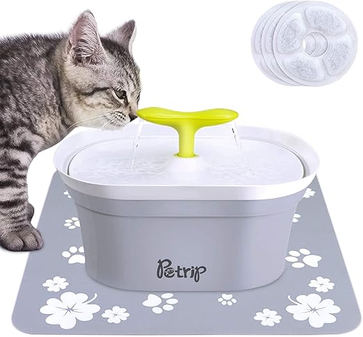 hot spots under dogs armpits