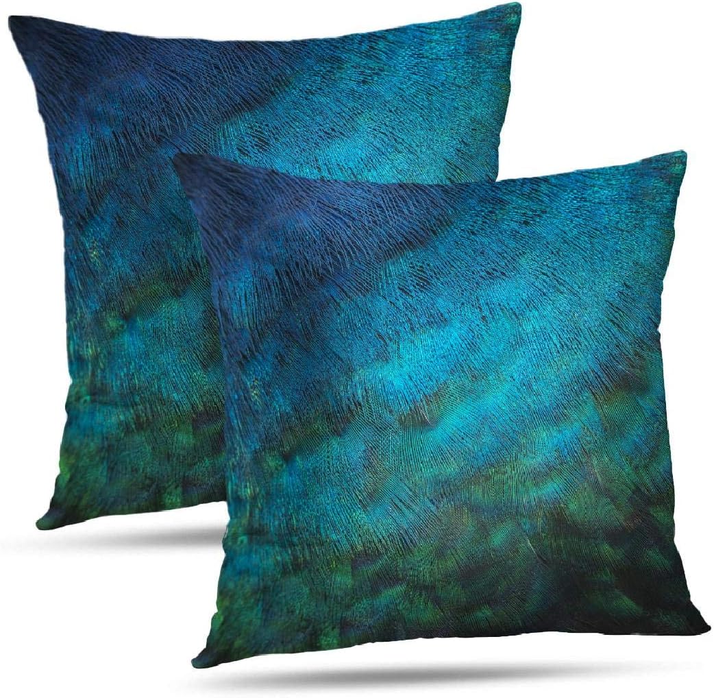 Best Blue Decorative Bird Pillows Living Room