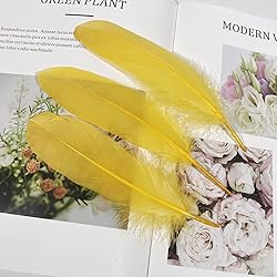 Lampu Natural Goose Feathers 15-20cm/6-8 inches