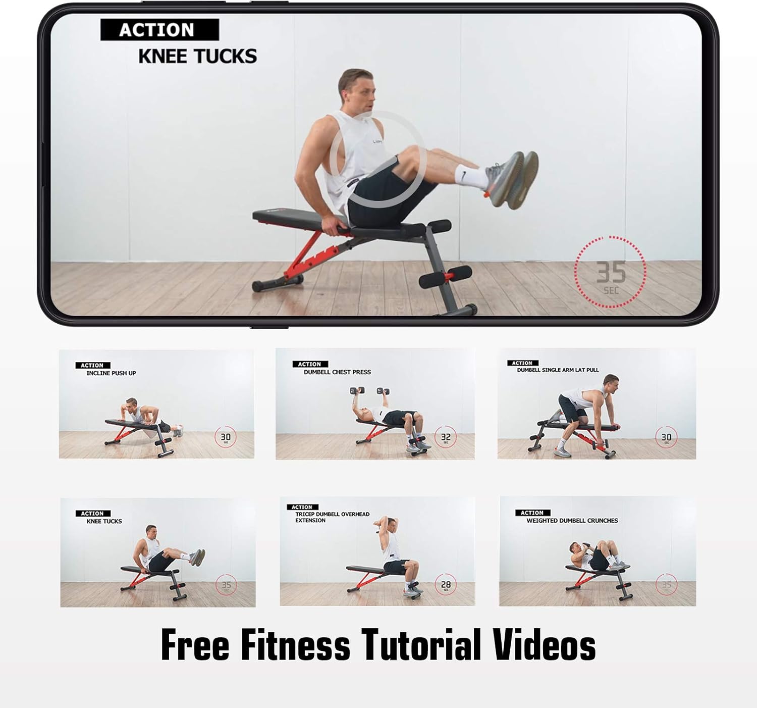 Pelpo Weight Bench for Full Body Workout, Strength Training Bench Press in Home Gym, Decline Incline Adjustable Utility Weight Bench with Fast Folding, Gray Frame : Sports & Outdoors