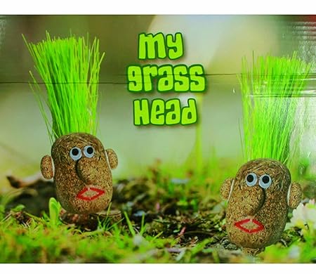 Quality Fun Hairstyles Novelty Grow Your Own Grass Head In