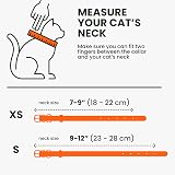 BRONZEDOG Leather Cat Collar with Removable QR-ID Tag 18-22 cm Orange view 7