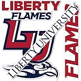 Desert Cactus Liberty University Sticker Flamesr Vinyl Decals Laptop Water Bottle Car Scrapbook Sheet T2 (Type 2-3)