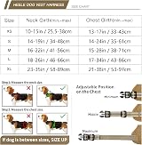 HEELE Dog Harness No Pull Small Bronze XS Reflective Easy Release Neck Clip view 2