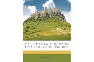 A Trip to Newfoundland: Its Scenery and Fisheries